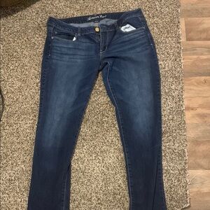 American Eagle Blue Skinny Jeans with Stretch